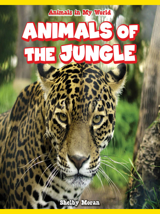 Cover image for Animals of the Jungle